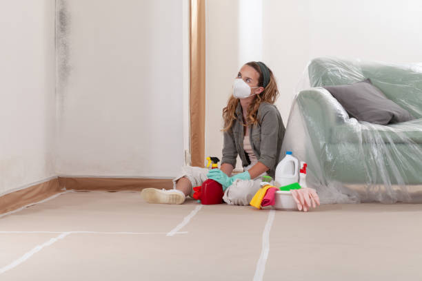 Reliable Commercial Mold Remediation contractor in Lakeland, NY by WQB Mold Removal
